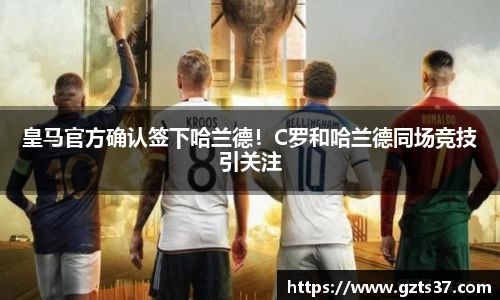 中欧体育