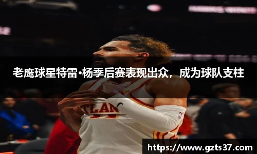 中欧体育