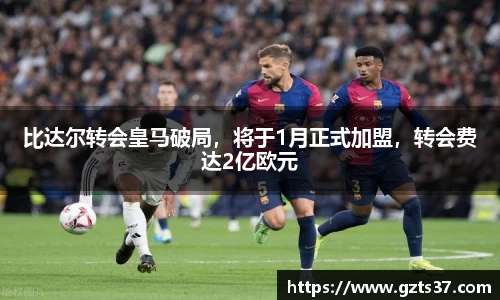 中欧体育