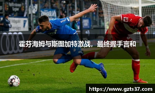 中欧体育网址