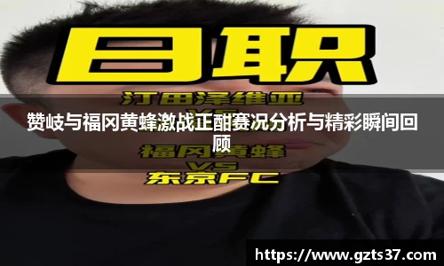 中欧体育网址