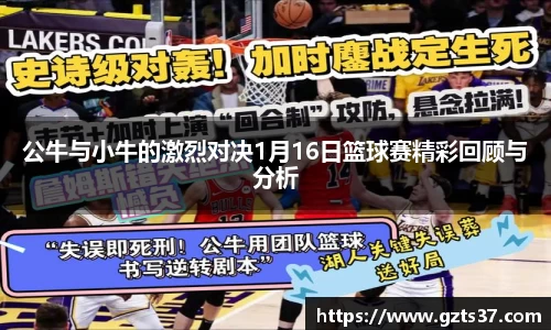 中欧体育官网